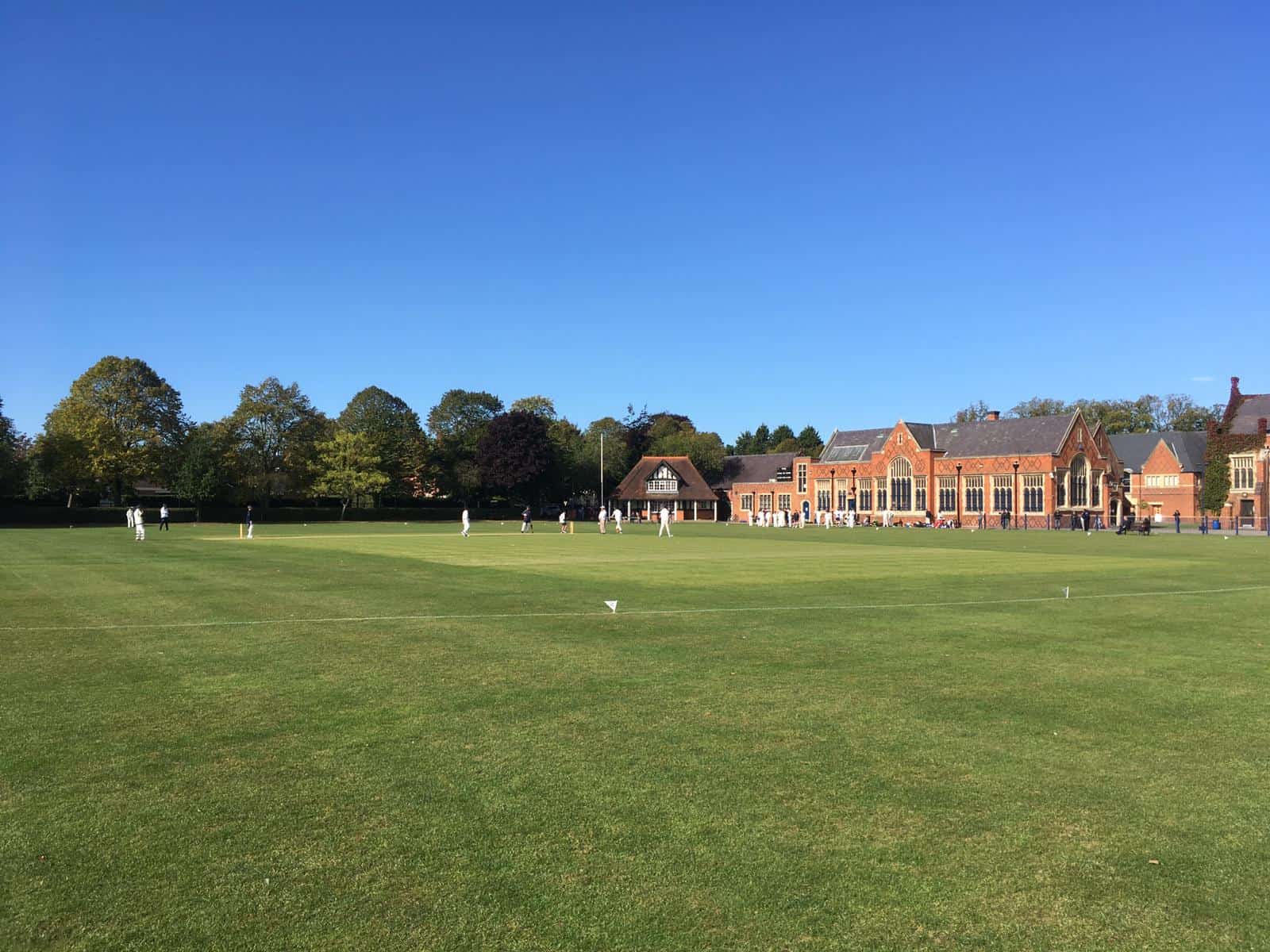 Year 9 House Cricket