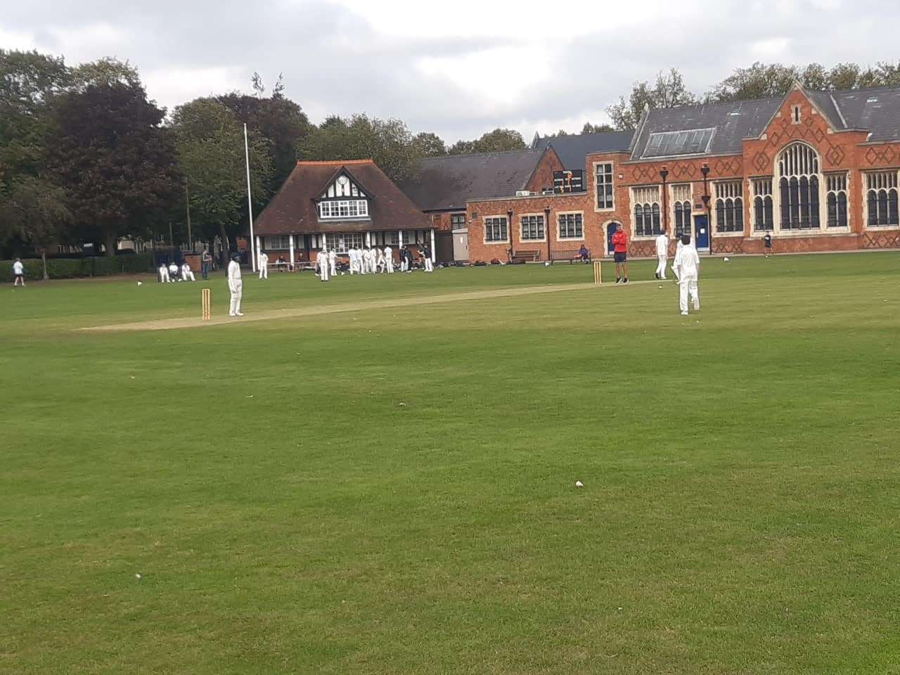 Year 8 House Cricket