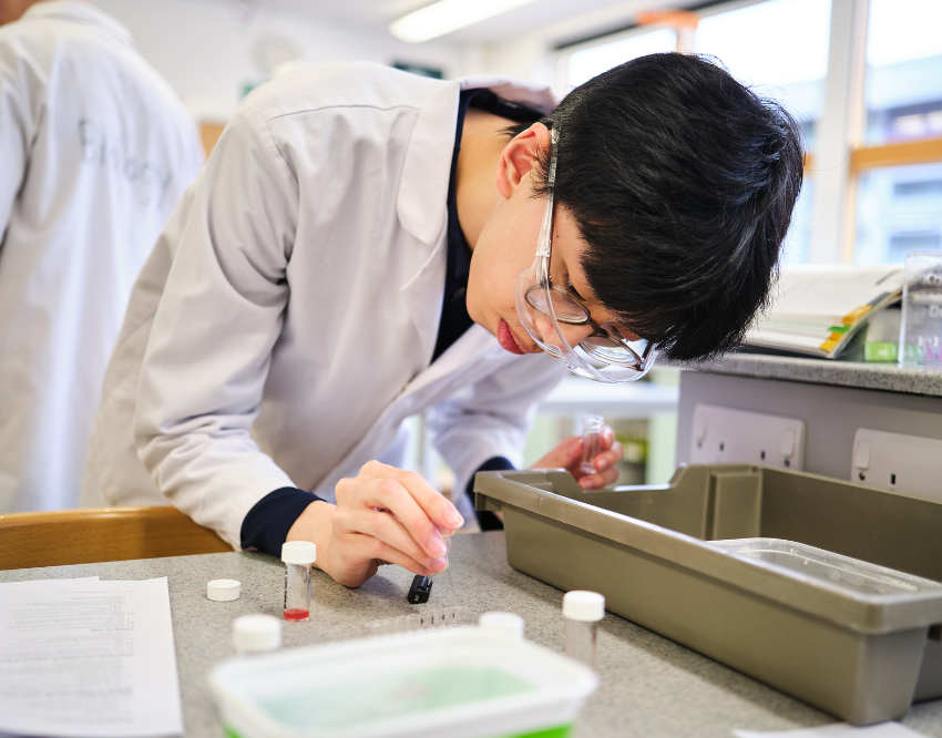 Successfully Navigating the University Application Process for Courses in Medicine