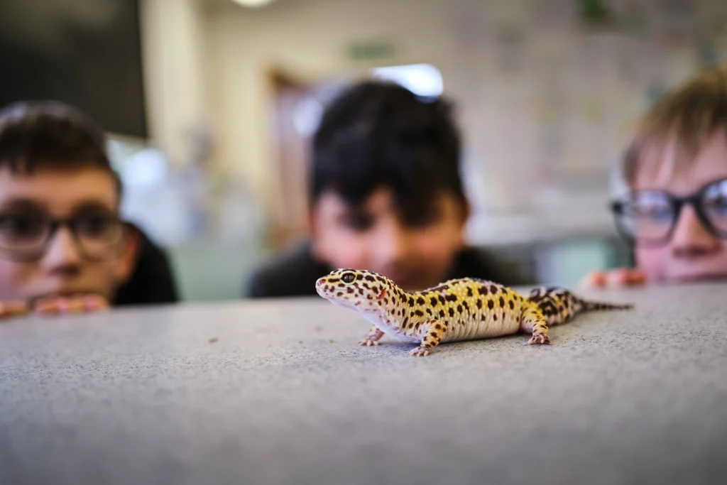 A year to grow, try and thrive